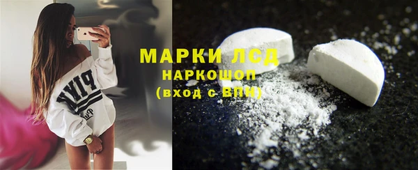 ГАЛЛЮЦИНОГЕННЫЕ ГРИБЫ Аркадак