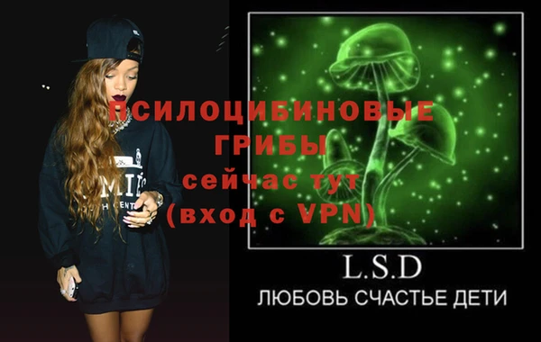 ГАЛЛЮЦИНОГЕННЫЕ ГРИБЫ Аркадак